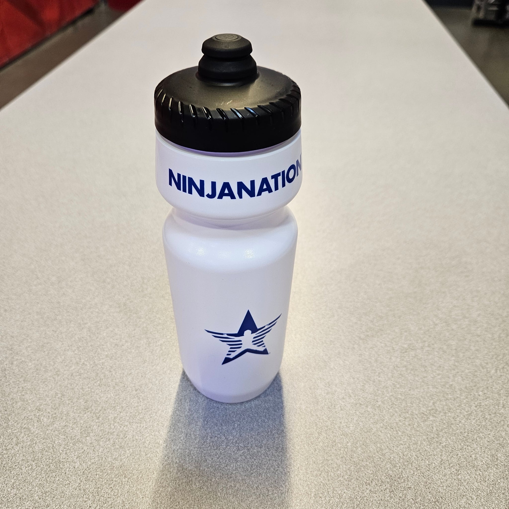 Gnarly Ninja Nate Water Bottle (22oz) – gnarlyninjanate